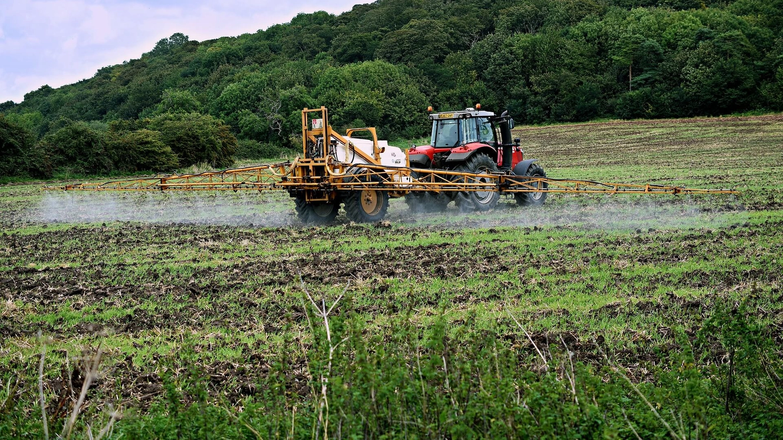 L'uso di pesticidi in agricoltura