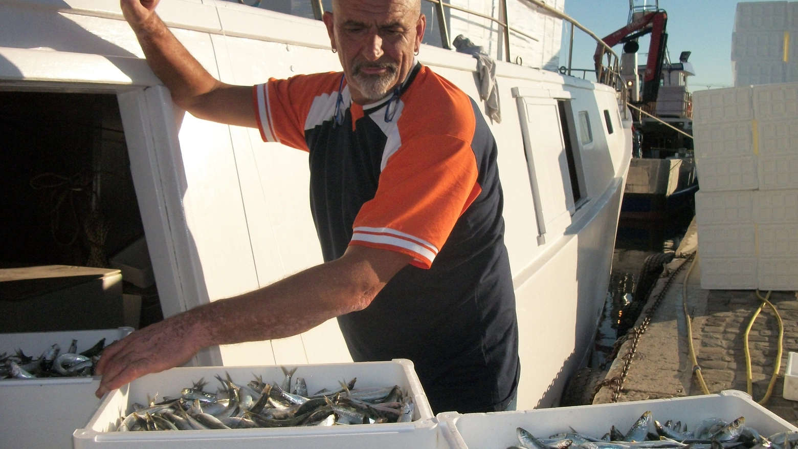 fermo pesca Adriatico 2021