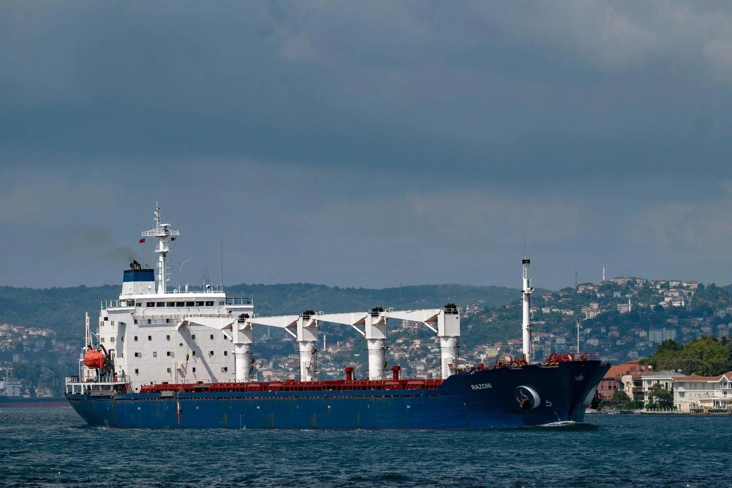 La nave cargo Rezoni con il primo carico di grano partito dall'Ucraina (Ansa)
