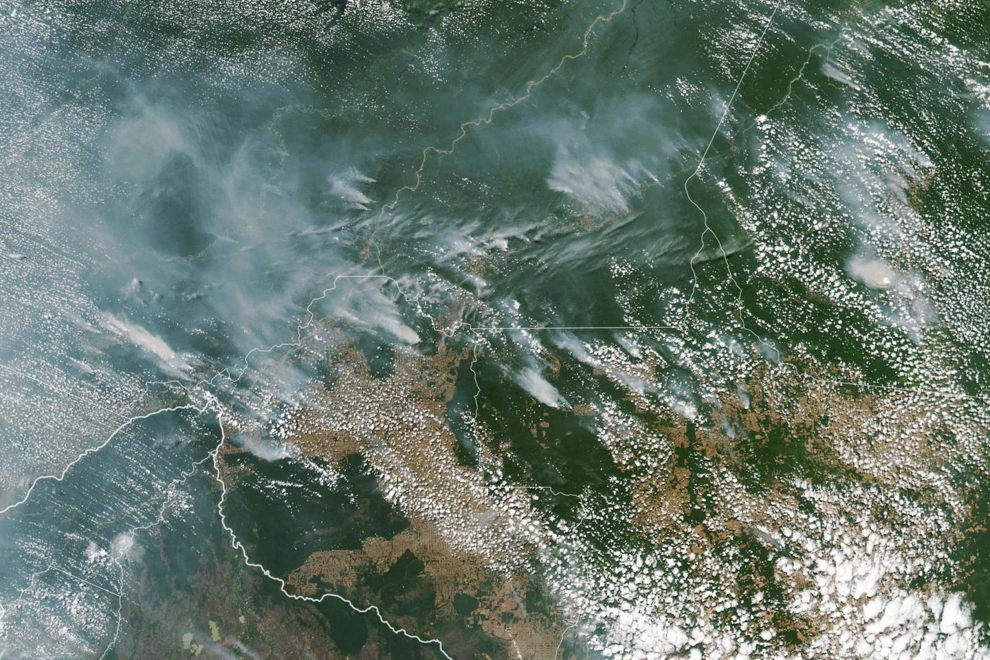 Record di incendi in Amazzonia (Ansa)