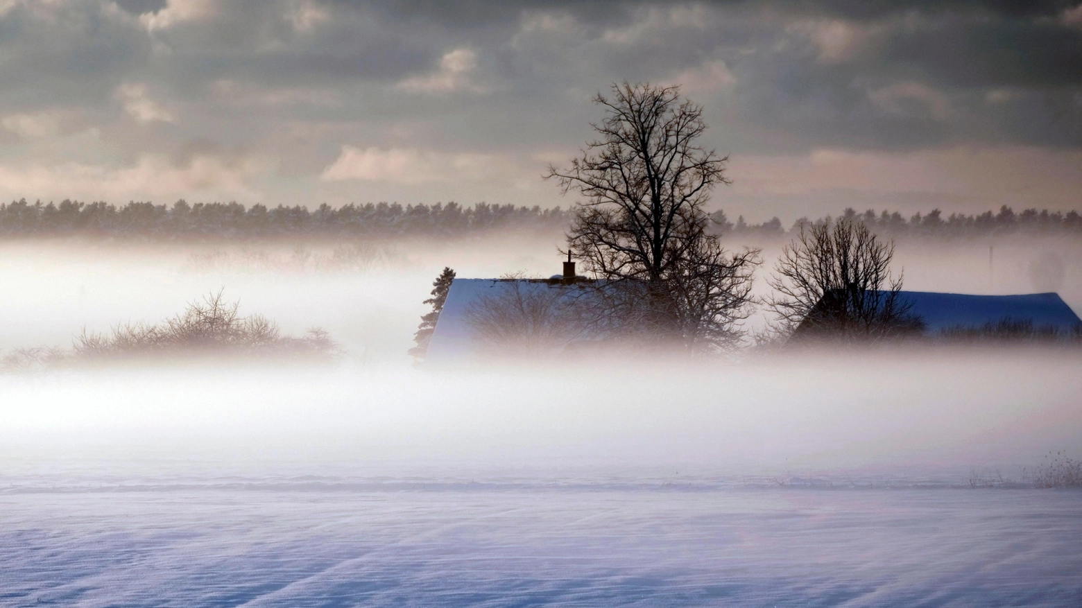 Freddo e neve nell'ultima ondata di gelo sul Nord Europa: nella foto Dunte, Lettonia (Ansa)