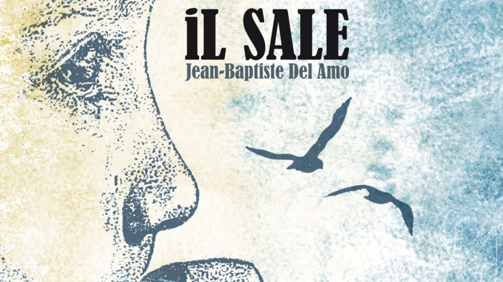 Copertina de Il sale, di Jean-Baptiste Del Amo (foto: Neo Edizioni)