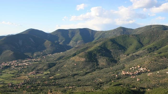 Il complesso del Monte Pisano (@Fondoambiente)