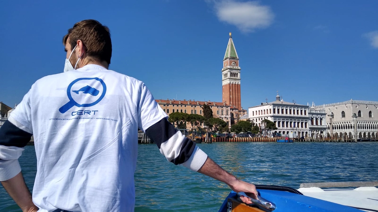 Delfini a Venezia, il Cert in azione