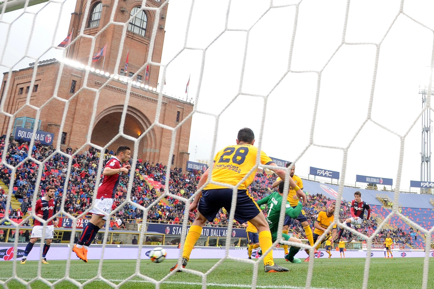 Bologna-Verona 2-0, Nagy (LaPresse)