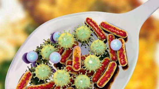 Virus e batteri nel cibo
