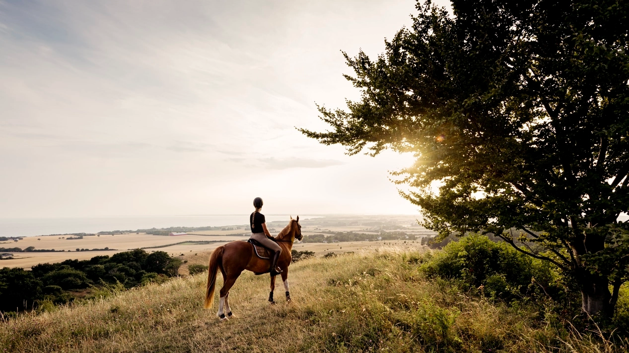 Horse and rider admiring the view over Møn in Denmark.