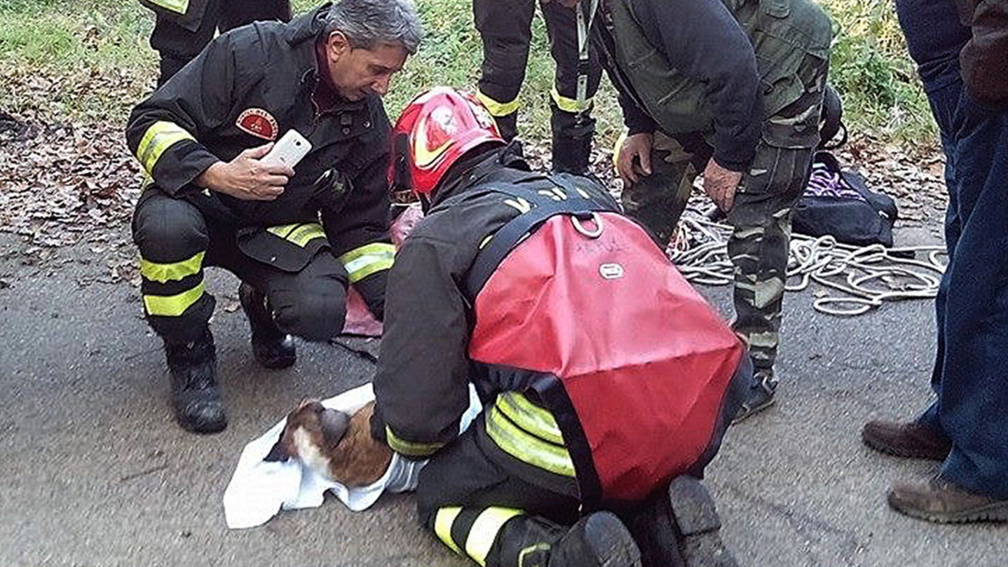 I vigili del fuoco mentre soccorrono la cagnolina Martina, dopo averla recuperata dal dirupo