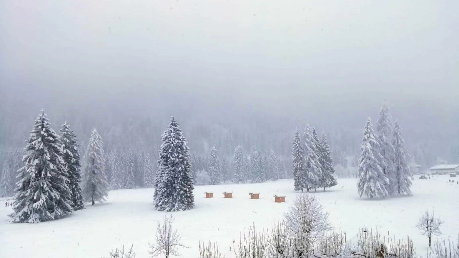 Meteo, l'ultima nevicata sulle Dolomiti bellunesi a inizio febbraio (Ansa)