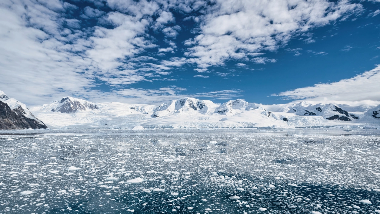 Penisole di ghiacci nell'Oceano Antartico