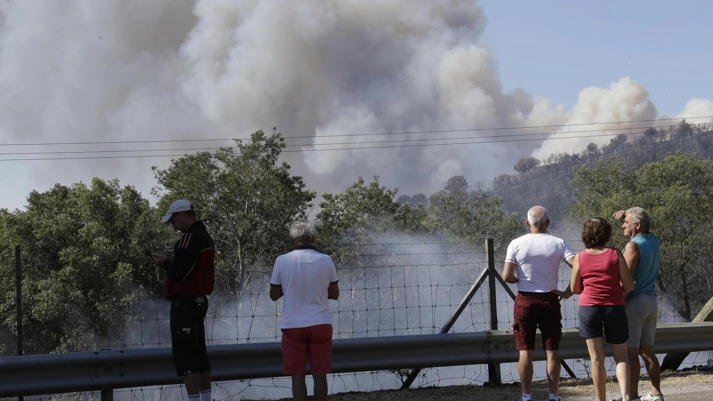 Incendio in Costa Azzurra (Ansa)