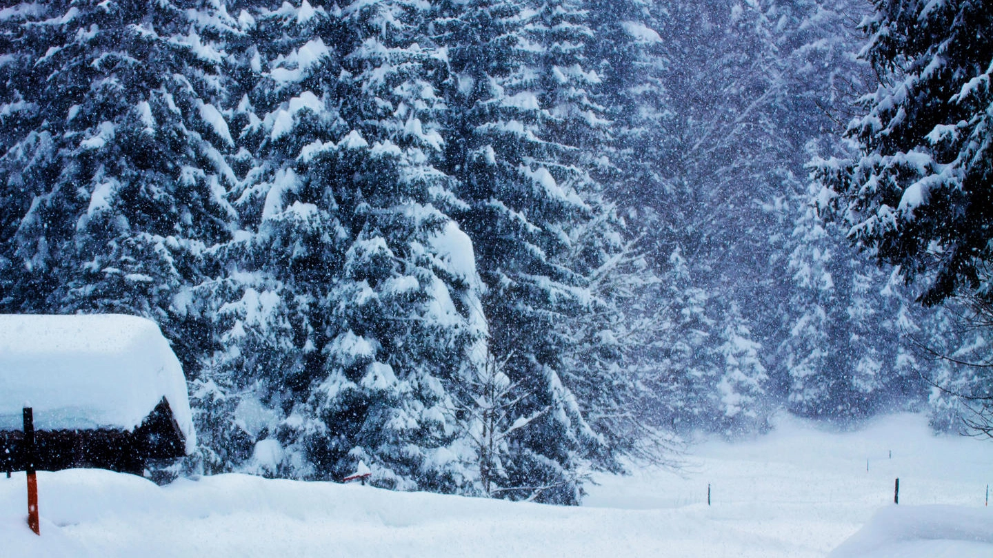 Previsioni meteo, nuova neve sulle Alpi. Pioggia forte in parte del Nord (Olycom)