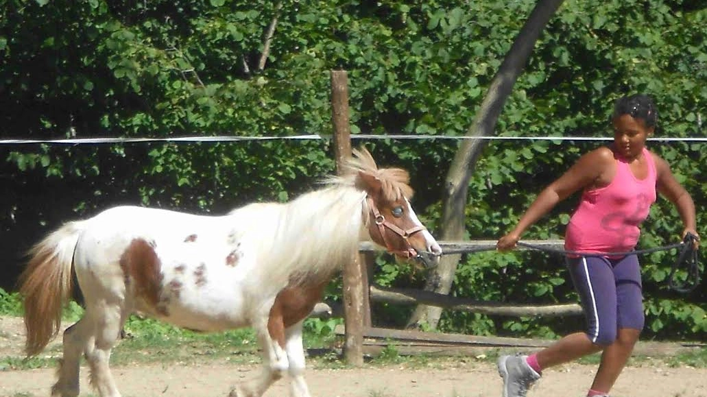 Awa insieme al suo pony Perla