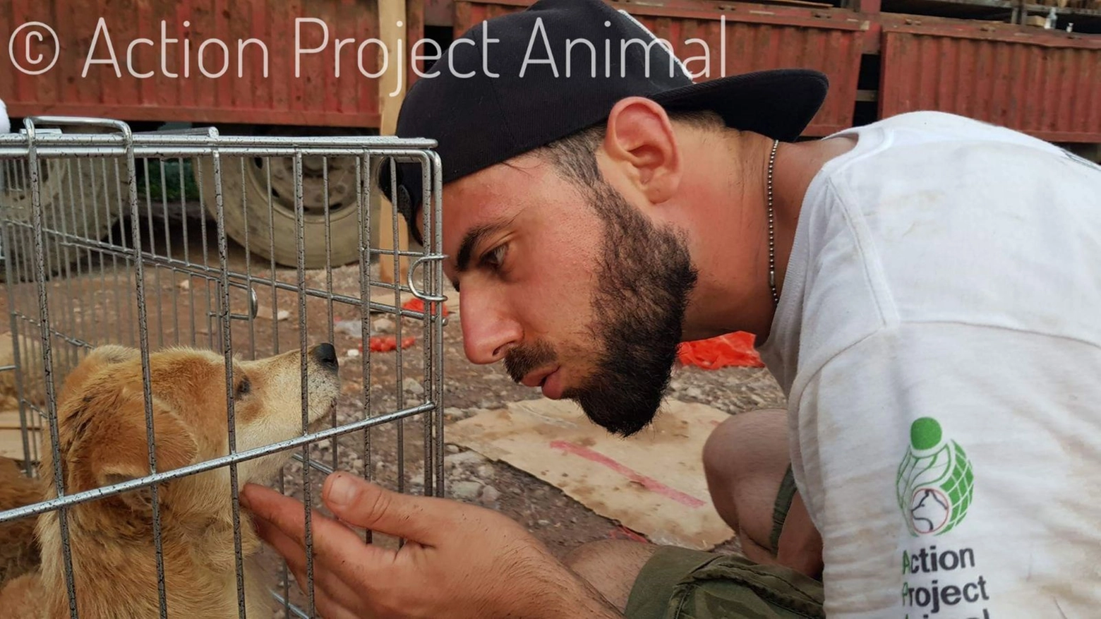 Davide Acito con uno dei cagnolini salvati a Yulin