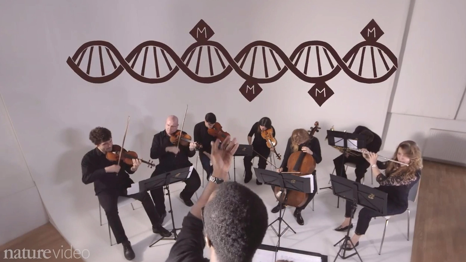 Un fermo immagine dal video di Nature per spiegare la sinfonia dei geni