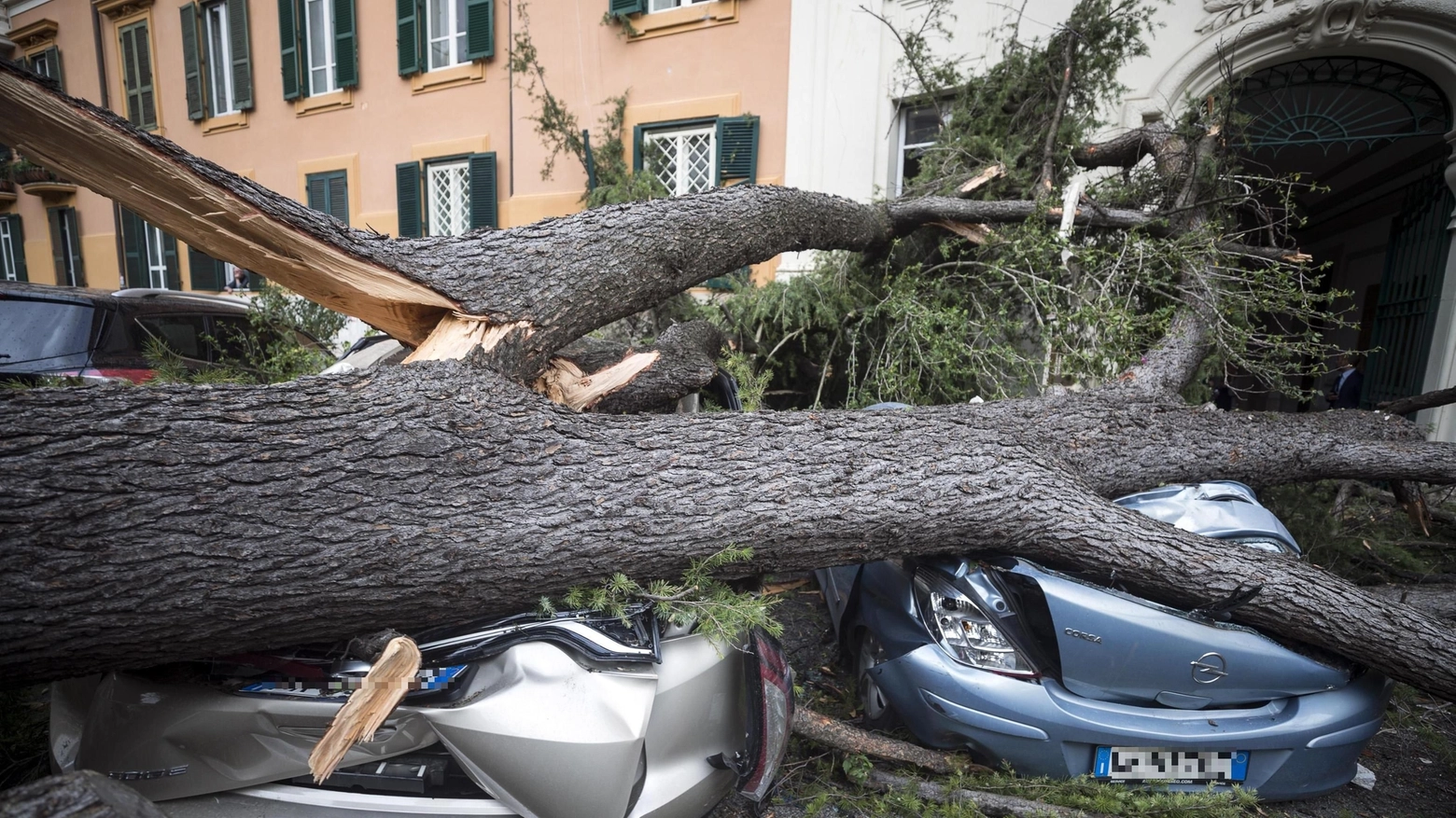 Roma, alberi caduti per il vento forte (Ansa)