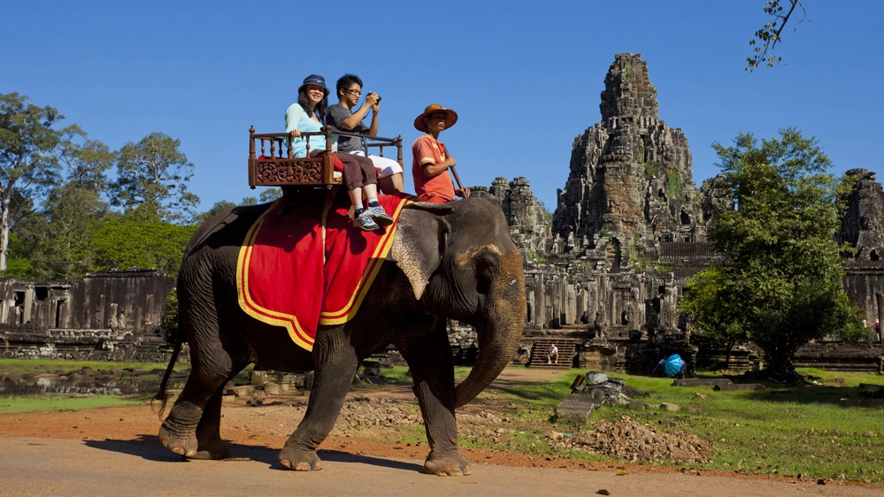 In Cambogia i giri sugli elefanti chiuderanno a inizio 2020