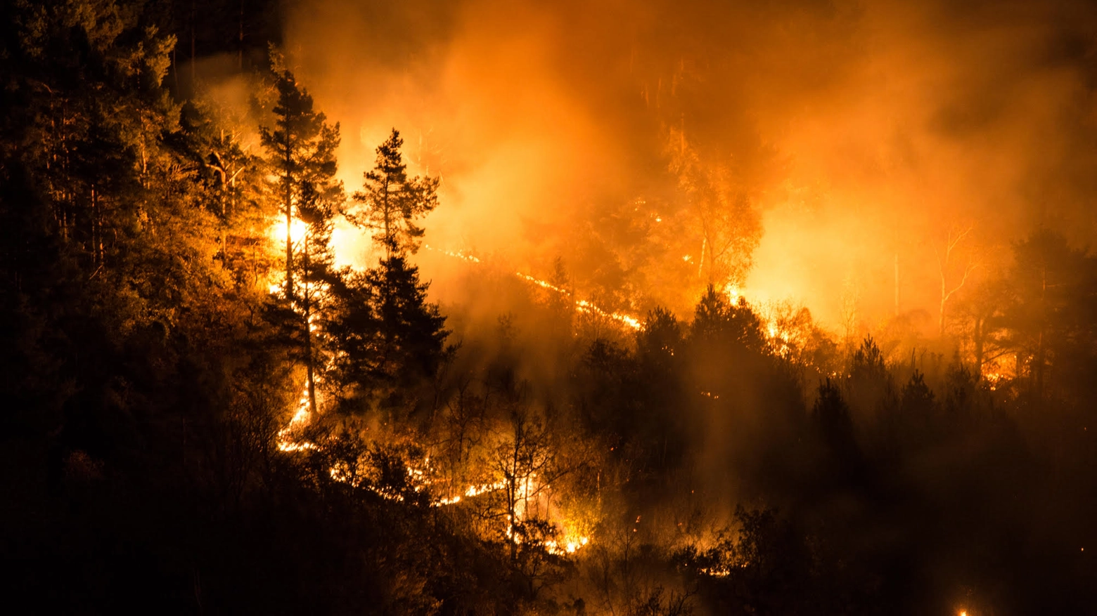 Incendi in provincia di Varese (Foto Di Michele per Lipu)