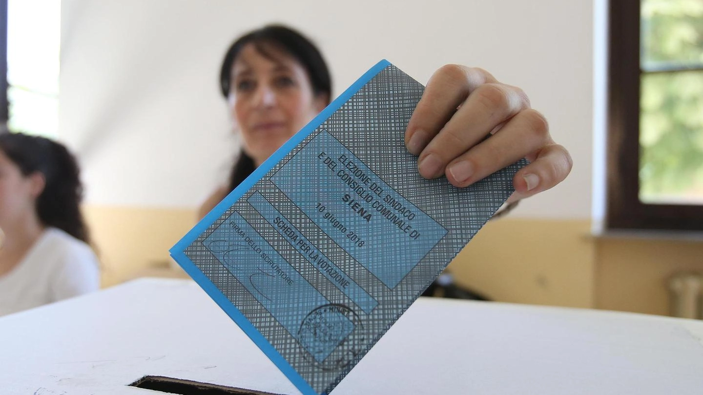 Elezioni comunali 2013 (Ansa)