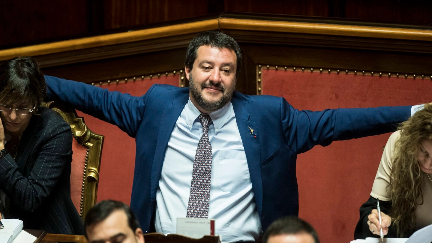 Matteo Salvini in Senato per il voto finale sul dl Sicurezza (LaPresse)