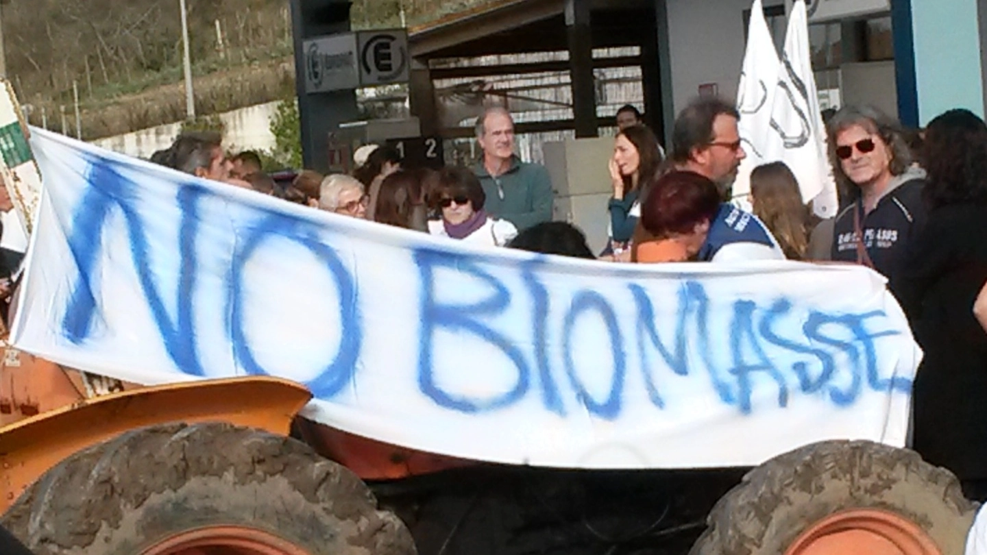 I manifestanti contro le biomasse