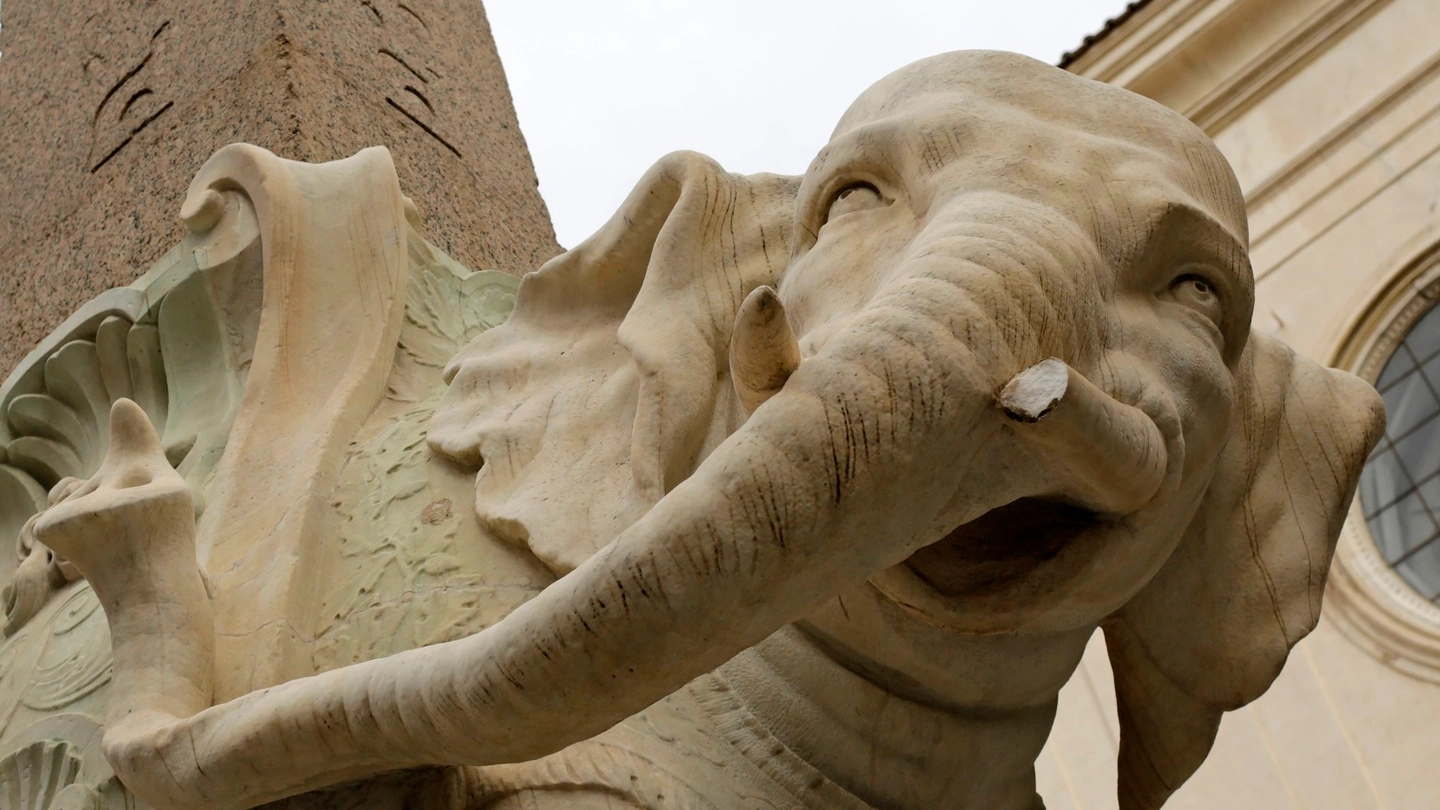 La statua dell'elefantino del Bernini deturpata da vandali che le hanno mozzato una zanna 