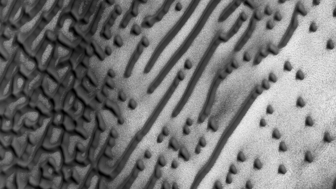 La foto scattata dal Mars Reconnaissance Orbiter (Foto: NASA/JPL/University of Arizona)