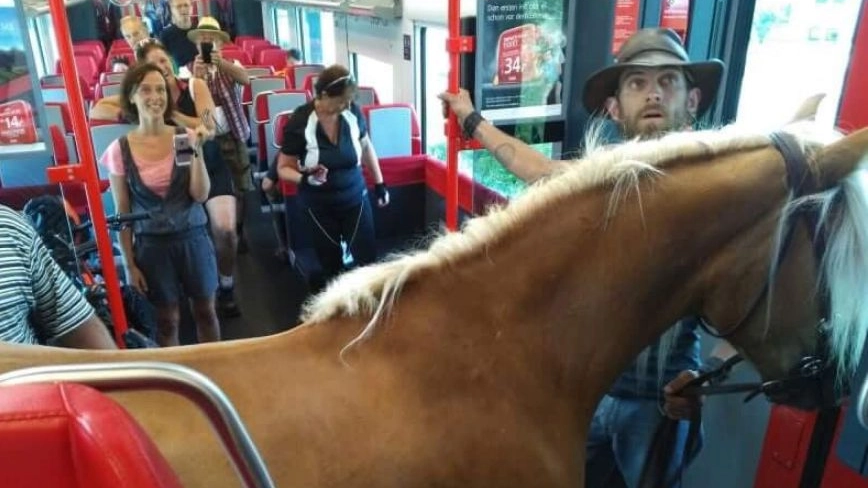 Frieda, il cavallo, e il cavaliere Benni su un treno austriaco (da Facebook)