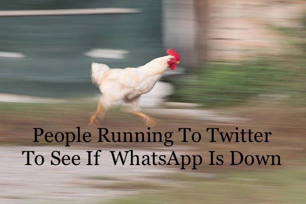 Whatsapp down, gli utenti si riversano su Twitter