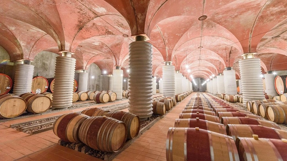 Petra winery, Suvereto, Tuscany, Italy
