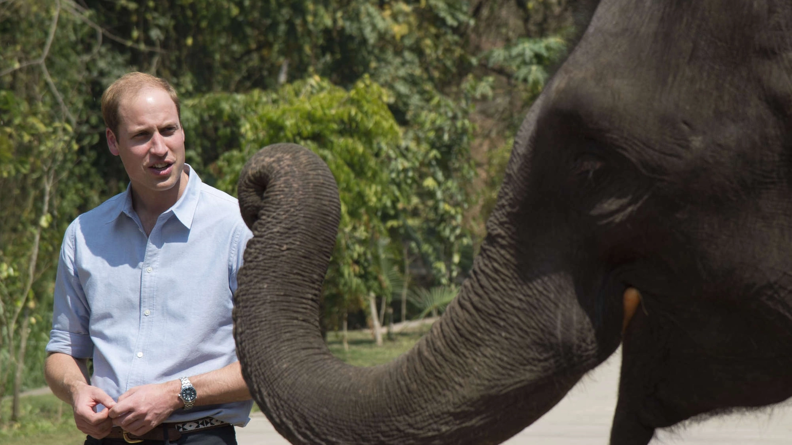 William con gli elefanti (Foto Olycom)