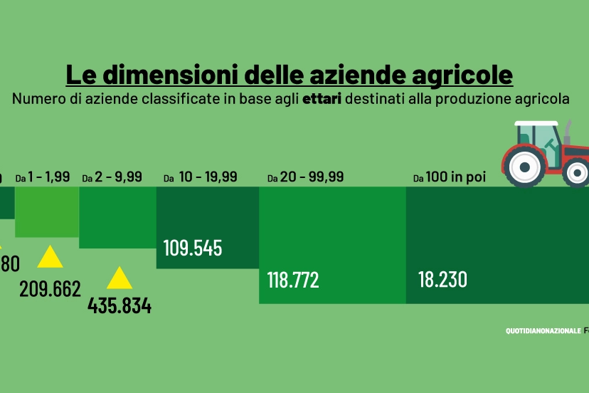 Le dimensioni delle aziende agricole in Italia