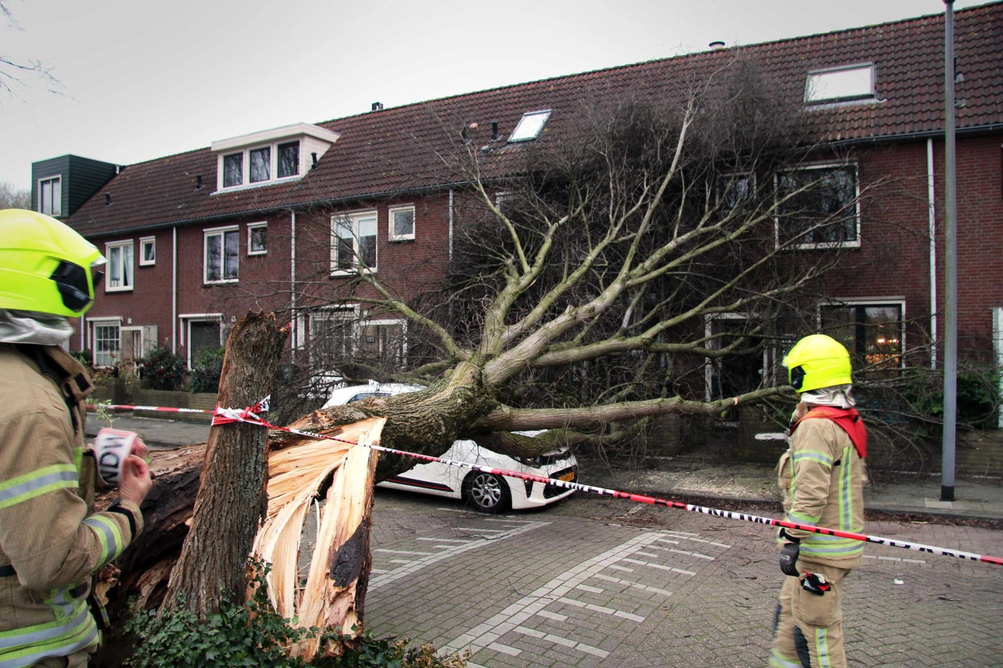 Un albero abbattuto in Olanda (foto Ansa)