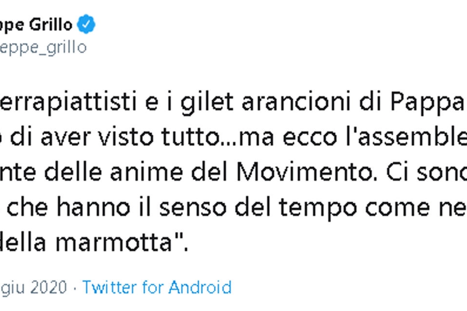 Il tweet di Beppe Grillo (Ansa)