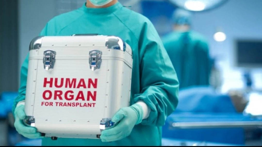 Trasporto di organi per i trapianti
