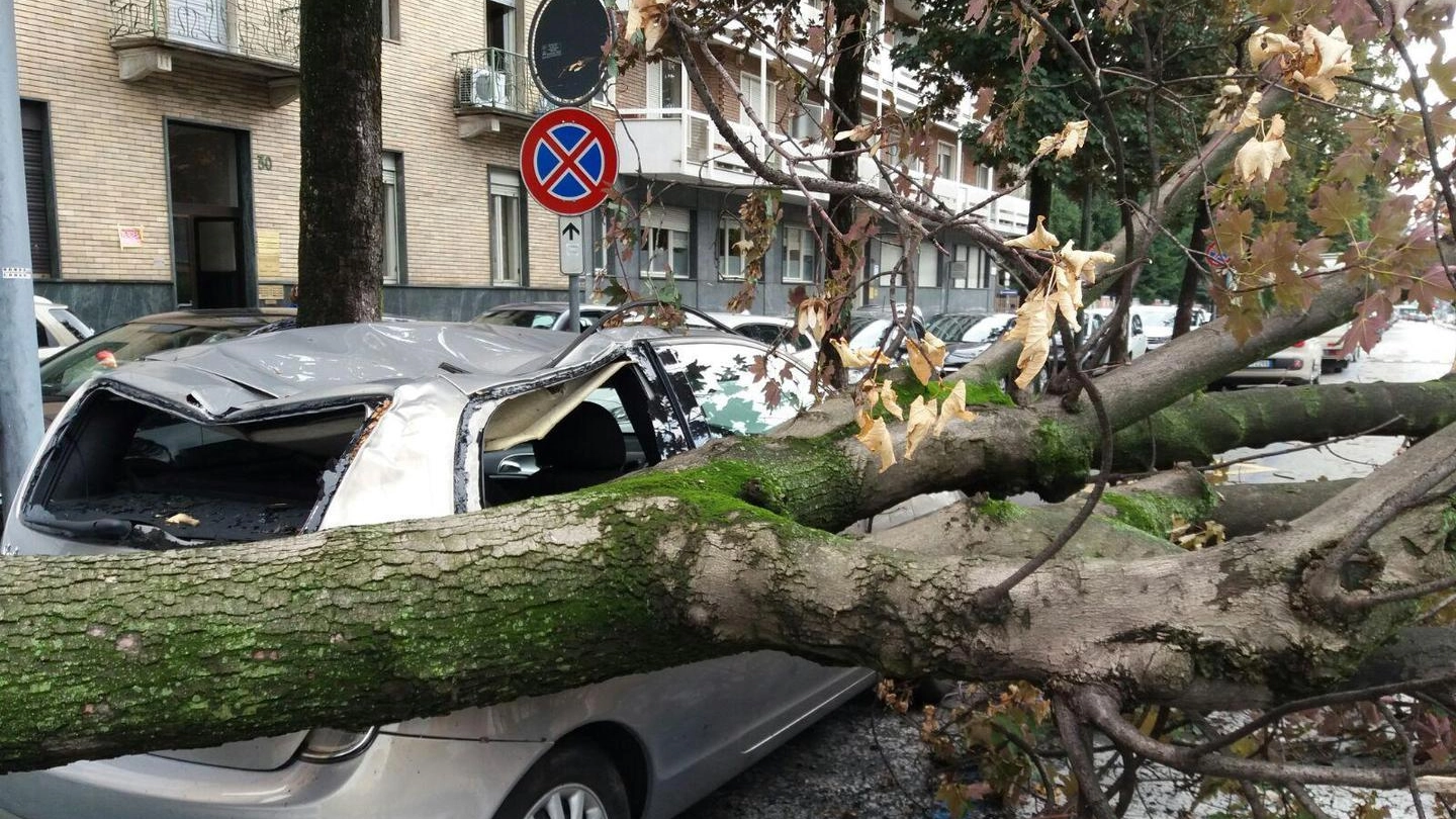 Maltempo a Torino, albero cade sopra una macchina (Ansa)