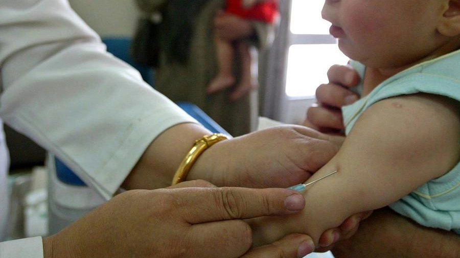 Vaccinazioni, vaccino: foto generica (Ansa)