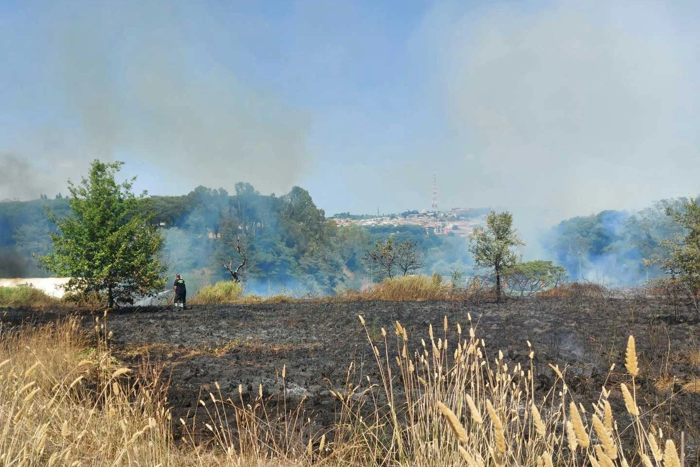 Incendio di sterpaglie in via della Pineta Sacchetti, all'ingresso del parco del Pineto