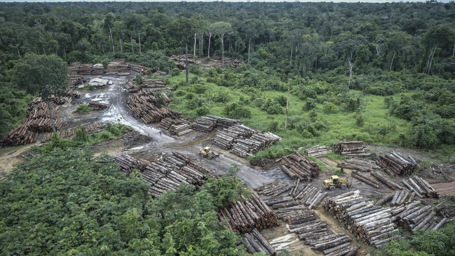 La deforestazione in Brasile (Ansa)