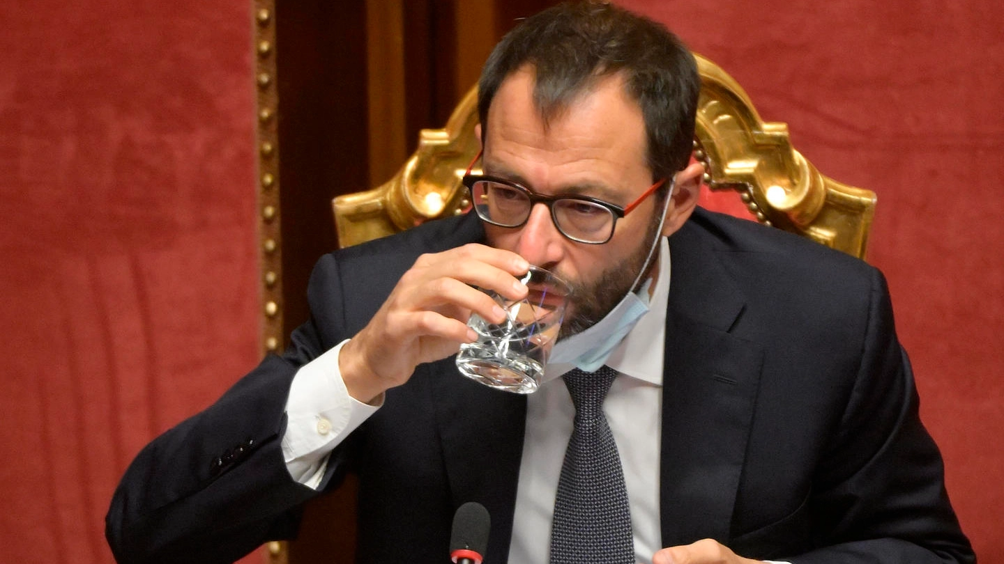 Il ministro delle Politiche Agricole Stefano Patuanelli al Senato (Ansa) 