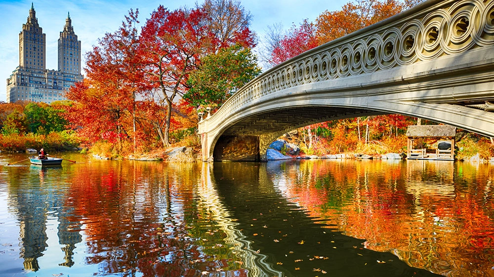 Central Park at autumn