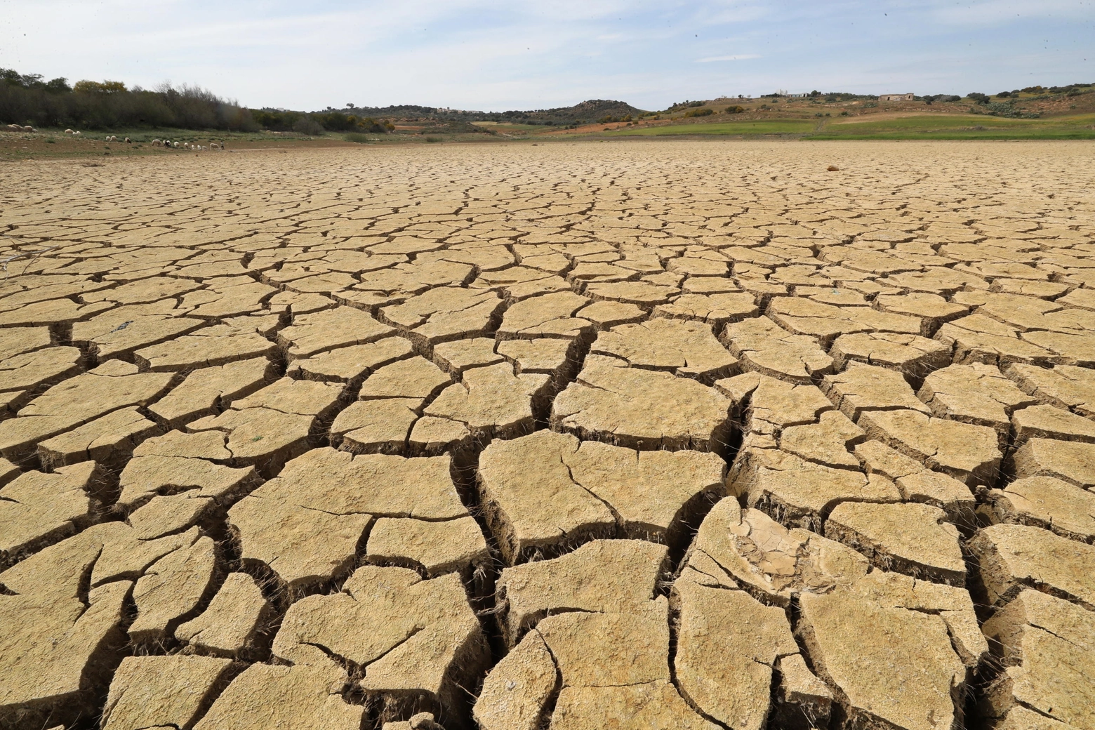 L'estrema siccità in Australia è una delle conseguenze di El Nino (foto generica Ansa)