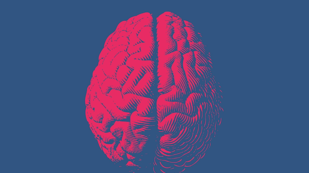 Il cervello simmetrico nele persone autistiche