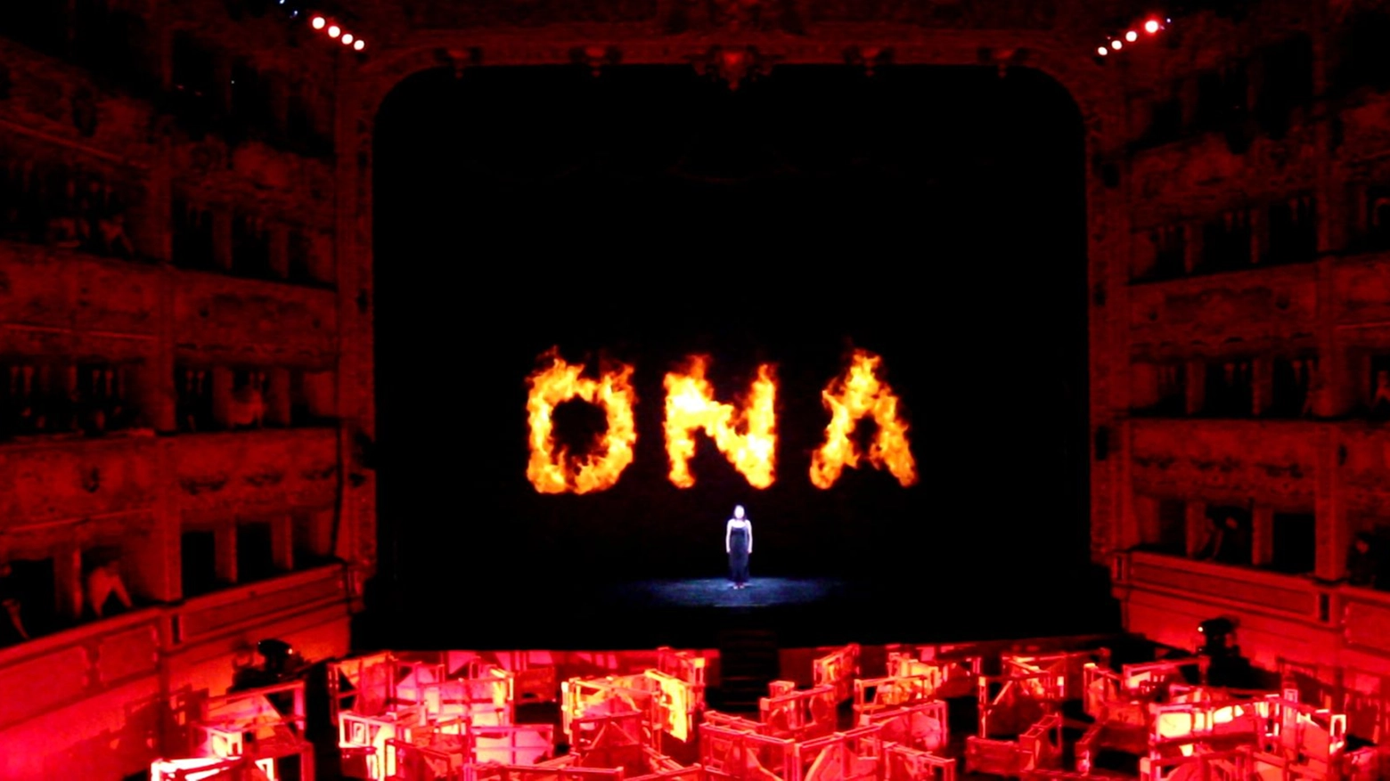 'Fenix DNA'