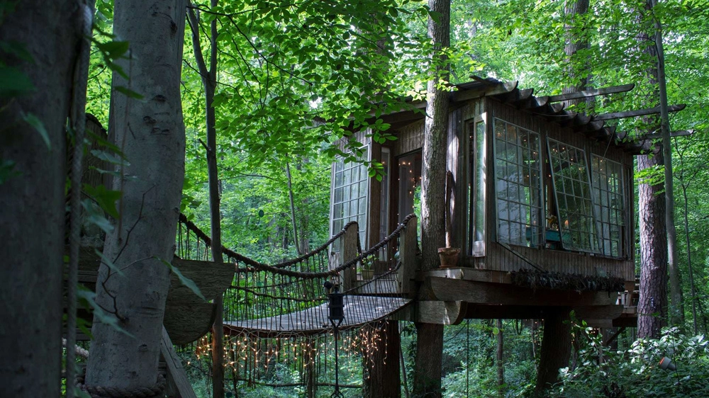 La Secluded Intown Treehouse, la casa più desiderata dagli utenti - Foto: Airbnb