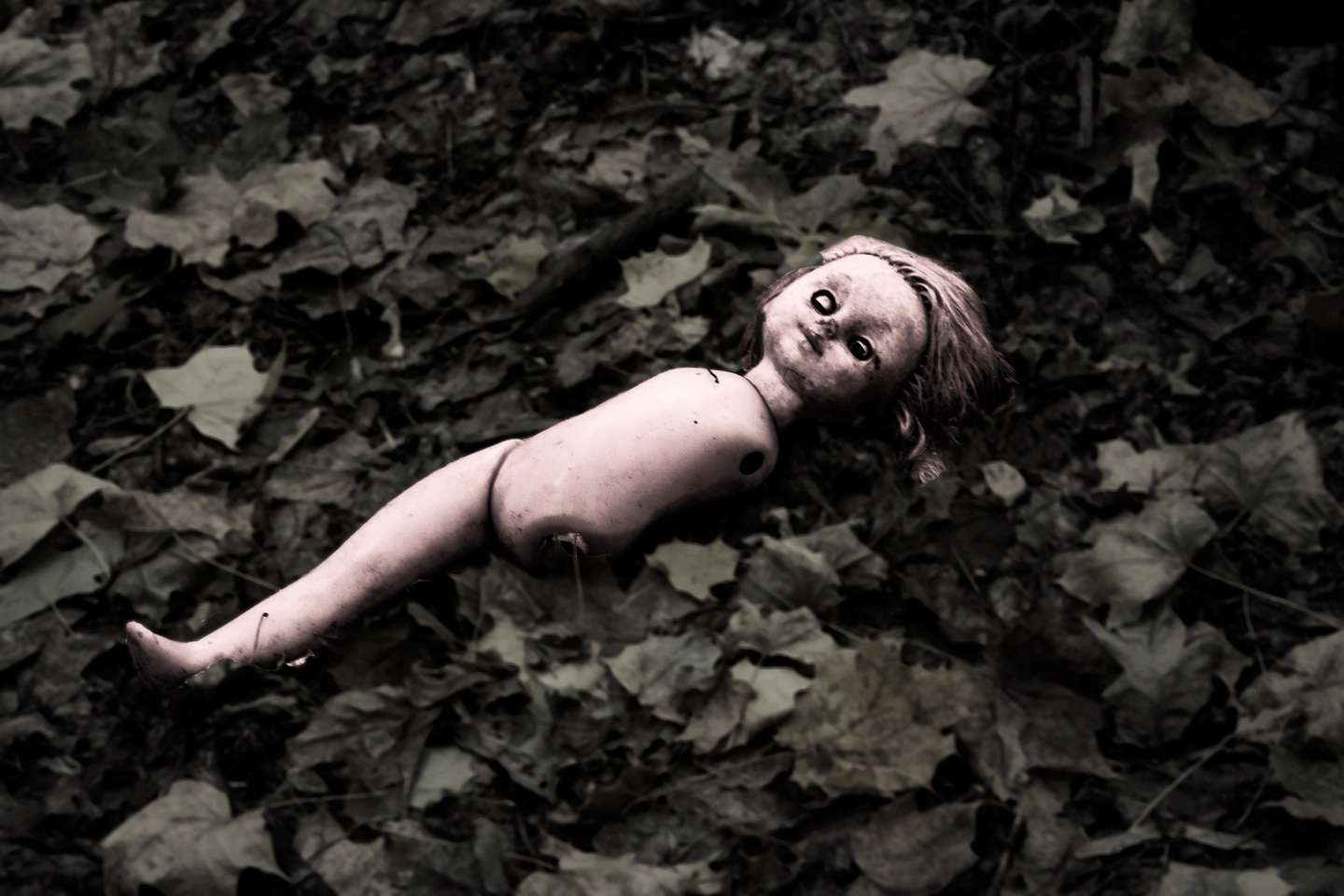 Una bambola abbandonata in una foresta