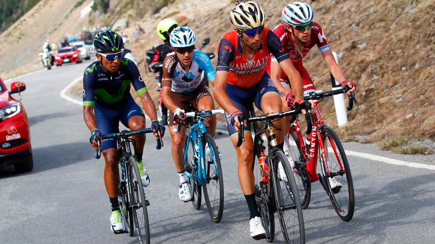 Quintana, Pozzovivo, Nibali e Zakarin sullo Stelvio (Afp)