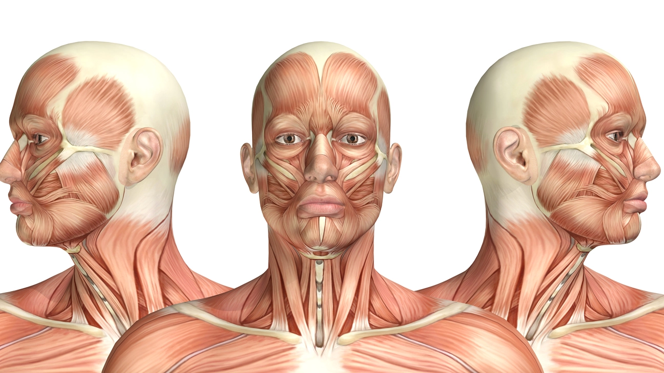 Un volto umano in 3D (foto iStock)
