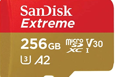 Scheda di Memoria Microsdxc da 256 GB su amazon.com