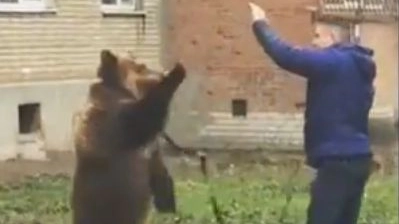 Un uomo con un orso al guinzaglio a Taganrog (da youtube)